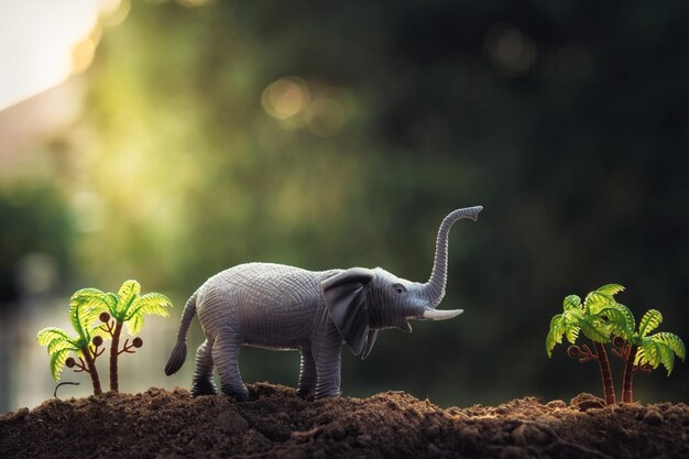 Photo close-up of toy elephant in dirt