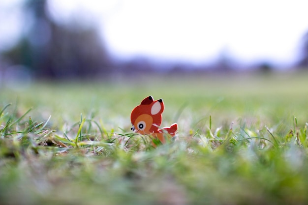 Foto close-up di un cervo giocattolo sul campo