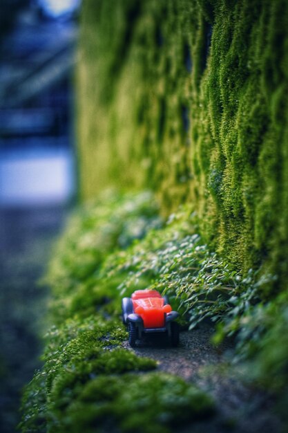 Foto prossimo piano del giocattolo sul campo