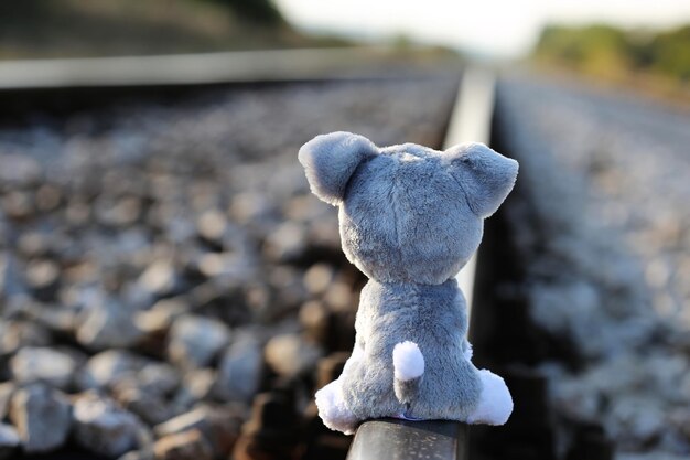 Photo close-up of toy on rock