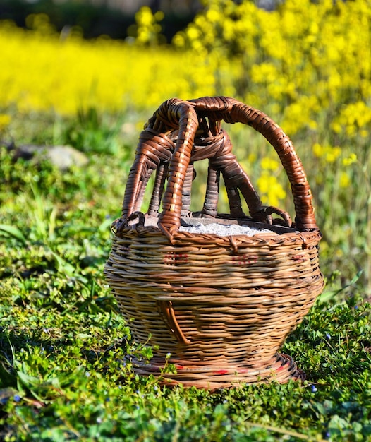 Close-up of traditional kangri on grassy field