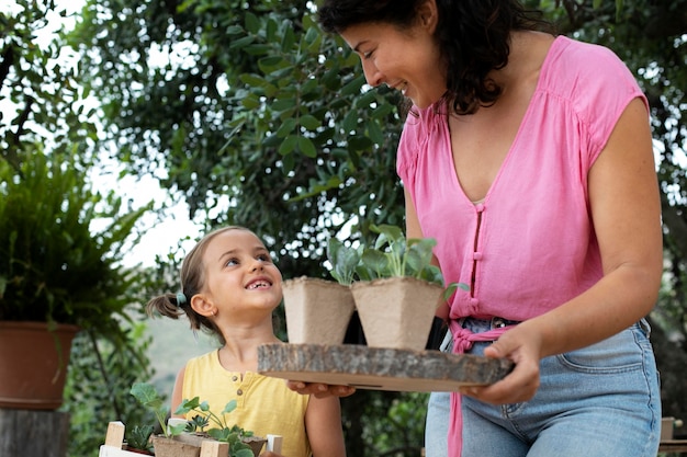 Close up on transplanting process of plants