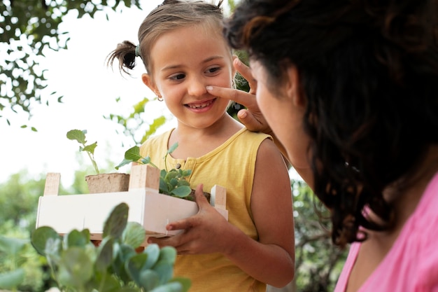 Photo close up on transplanting process of plants