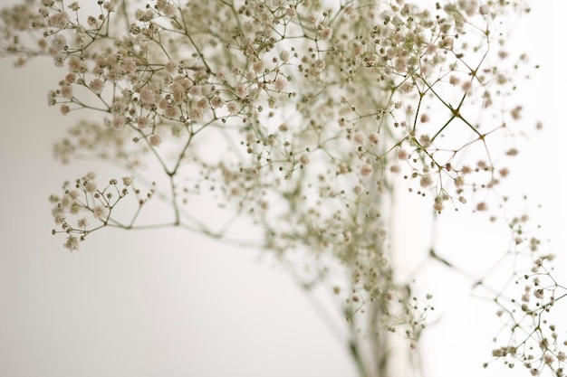 Foto prossimo piano del ramo dell'albero