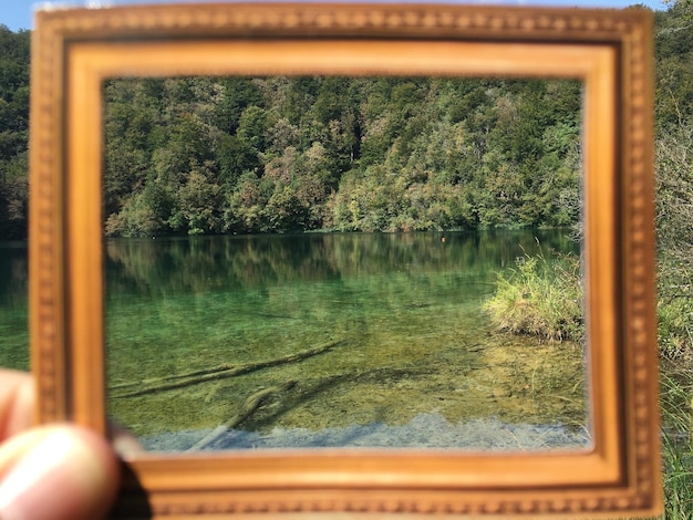 Foto close-up dell'albero vicino al lago