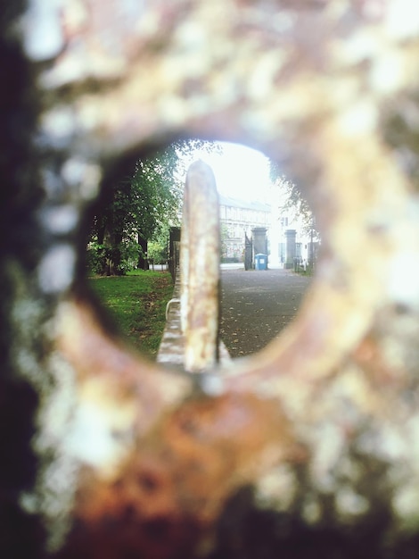 Foto prossimo piano del tronco dell'albero