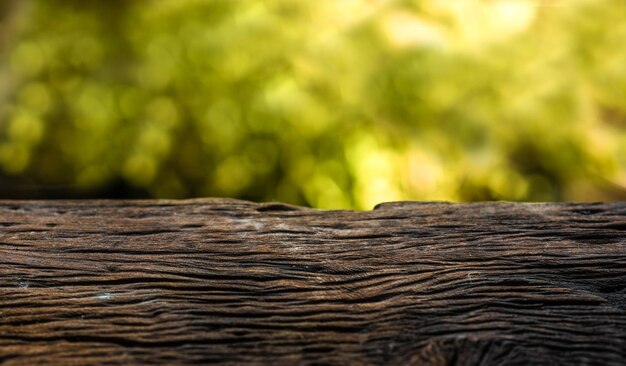 Foto prossimo piano del tronco dell'albero