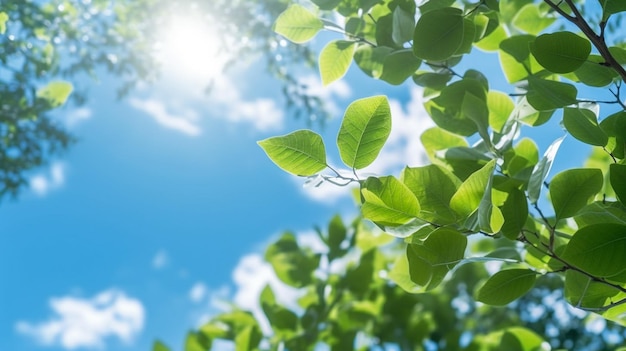 Photo a close up of a tree with green leaves and a blue sky generative ai