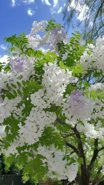 白と紫の花を持つ木のクローズアップ生成ai