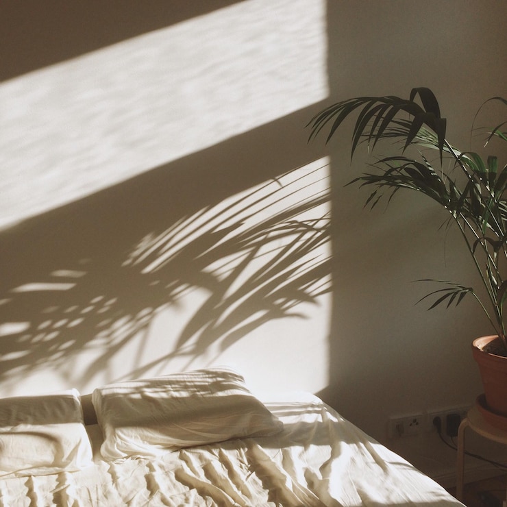 Photo 나무 의 클로즈업