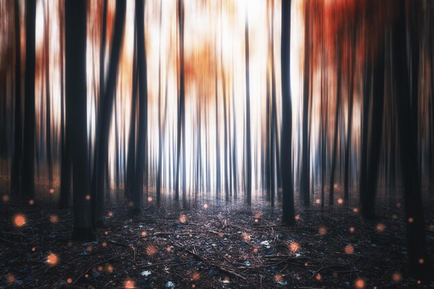 Photo close-up of trees in forest