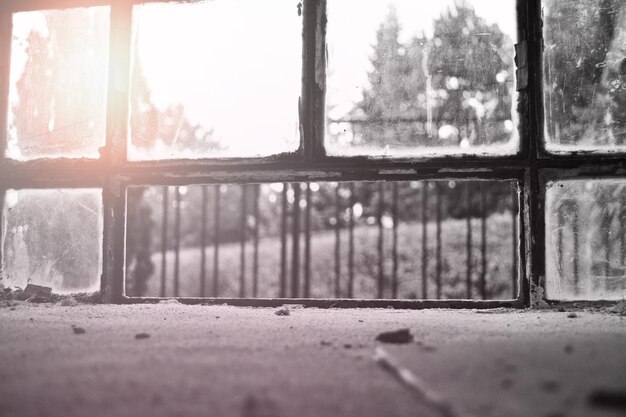 Photo close-up of trees seen through glass window