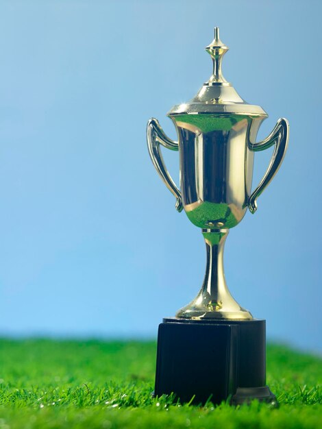 Close up trophy on the artificial grass