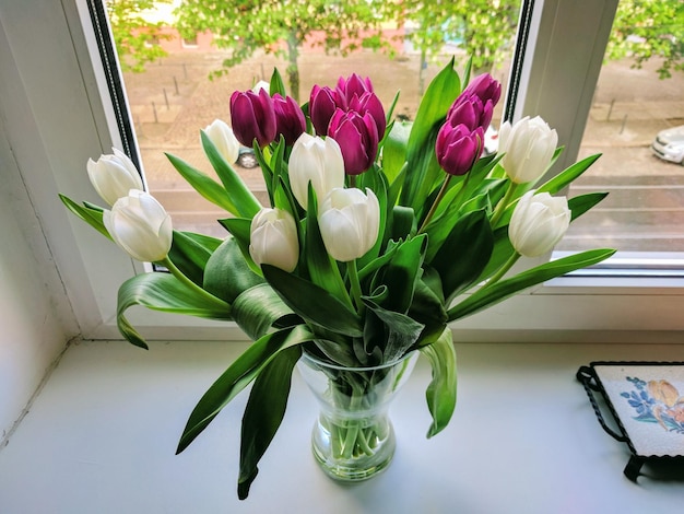 Close-up of tulips in vase on window sill