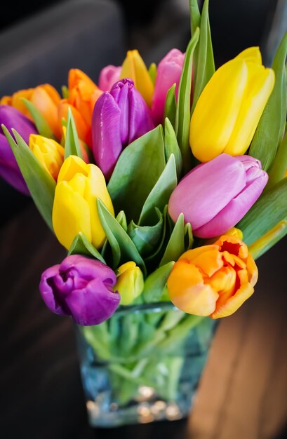 Photo close-up of tulips