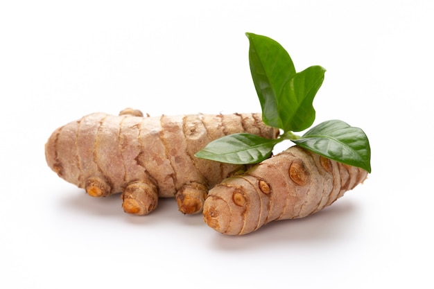 Close up Turmeric, Curcuma longa Linn, rhizome isolated on white background.