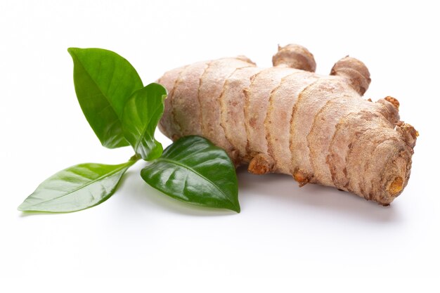 Close up Turmeric, Curcuma longa Linn, rhizome isolated on white