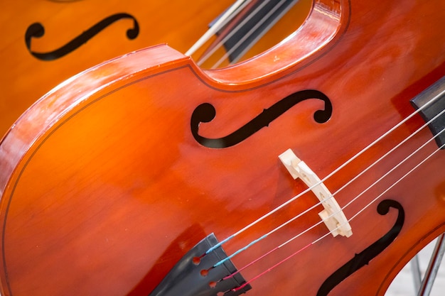 Close-up of two cello. violoncello.