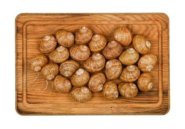 Close up two dozen of escargot land snail shells on brown oak wood cutting board, isolated on white background, elevated top view, directly above