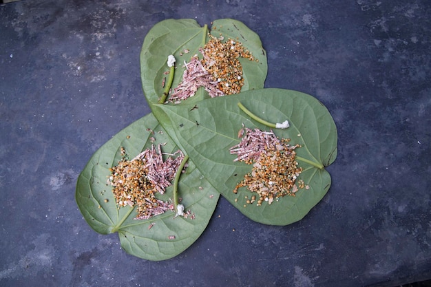 A close up of two green leaves with the word tamarind on them