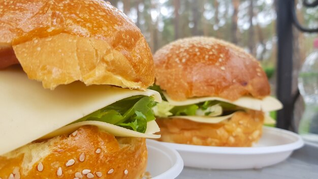 Close-up of two large diy hamburgers in the park on a barbecue,\
rest and cooking on a picnic in the summer, food, delicious, bright\
colors. unhealthy food concept. fast food.