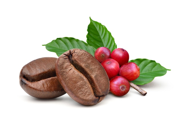 Foto primo piano due chicchi di caffè tostati con chicchi di caffè rossi e foglie isolati su sfondo bianco.