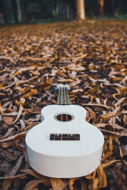 Foto prossimo piano dell'ukulele sulle foglie d'autunno