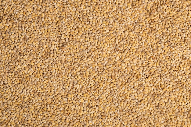 Photo close-up of uncooked beige pearl barley grains. healthy food concept