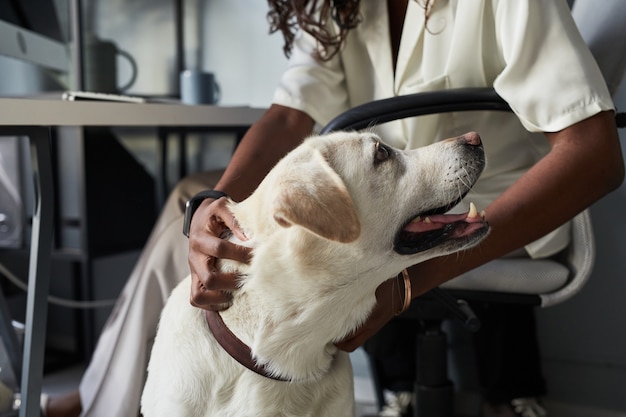 Close up of unrecognizable africanamerican woman petting dog while working in pet friendly office co...