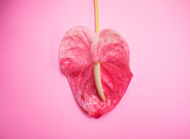 Foto close-up van aardbeien hartvorm op roze achtergrond
