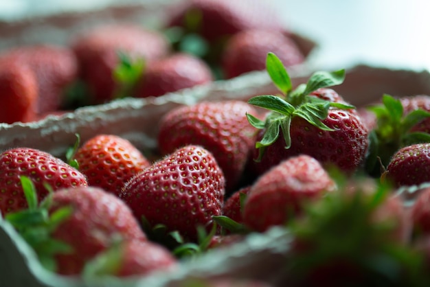 Close-up van aardbeien