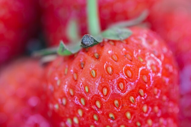 Foto close-up van aardbeien