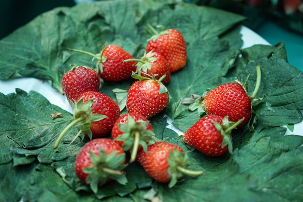 Close-up van aardbeien