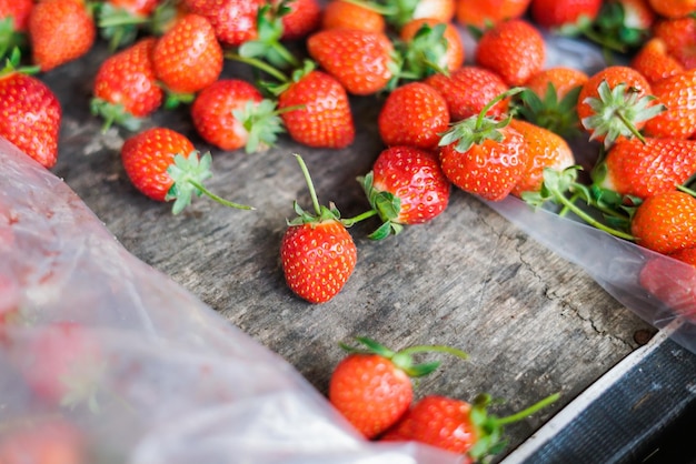 Close-up van aardbeien