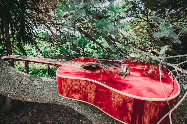 Close-up van akoestische gitaar liggend op een bosrijke vintage stijl met Kopieer ruimte