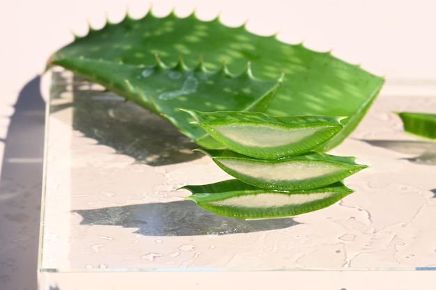 Close-up van aloë verablad en plakjes gevuld met gel Natuurlijke behandeling