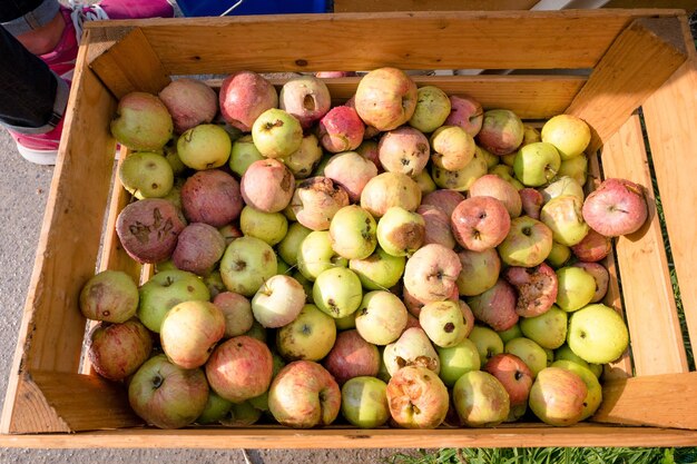 Foto close-up van appels in een container