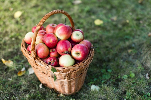 Close-up van appels in een mand