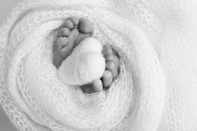 Close-up van baby's kleine hand hoofd oor en palm van moeder Macro Zwart-wit Foto van pasgeboren baby na de geboorte die de vinger van de ouders stevig vasthoudt Gezins- en thuisconcept Gezondheidszorg pediatrie