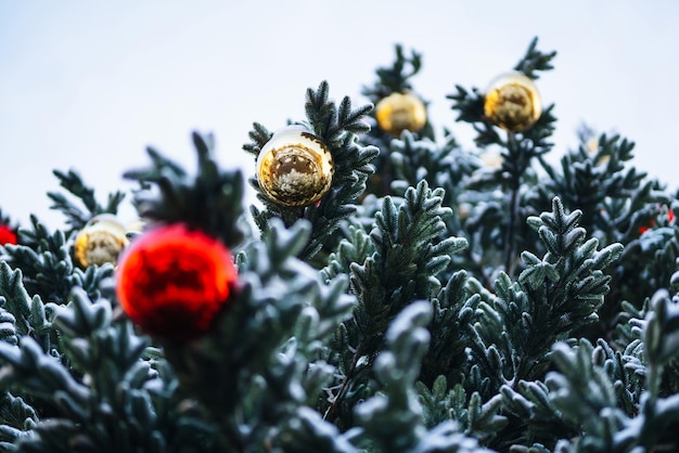 Close-up van ballen op besneeuwde kerstboom Kerstversiering Nieuwjaarsconcept Wintervakantie