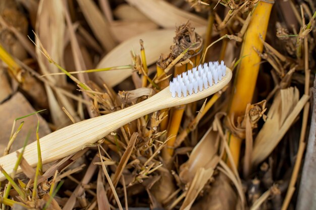 Close up van bamboe tandenborstels met natuurlijke achtergrond biologisch afbreekbare bamboe tandenborstels