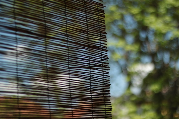 Foto close-up van bamboesluiken met een wazige achtergrond