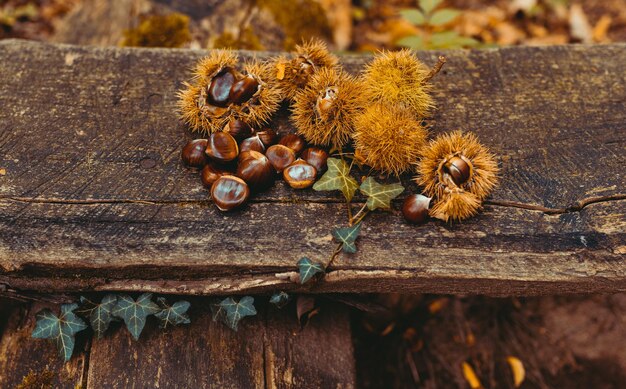 Close-up van blad op hout