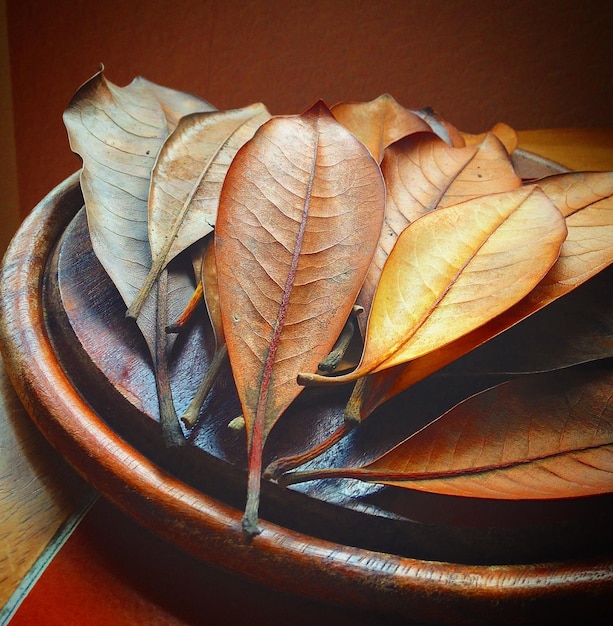 Close-up van blad