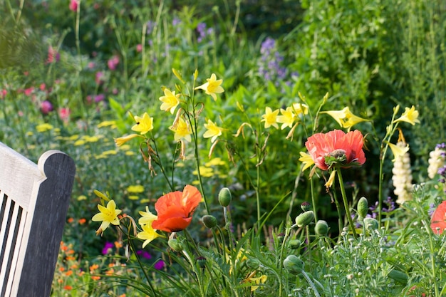 Foto close-up van bloeiende bloemen in het veld