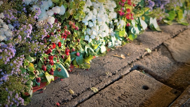 Foto close-up van bloemen die op een plant groeien