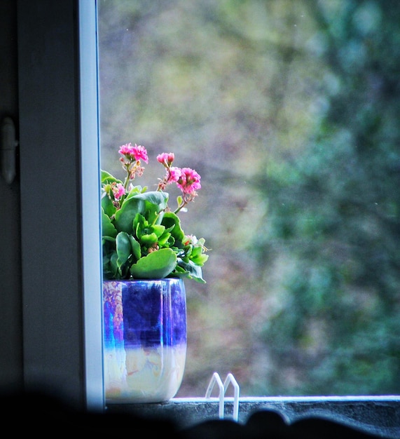 Foto close-up van bloemen in een vaas op de vensterbank