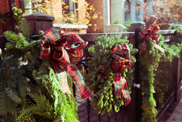 Foto close-up van bloemen op een boom