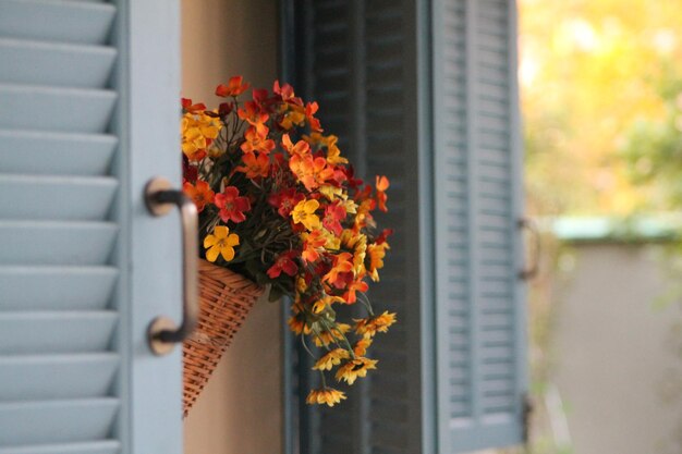 Foto close-up van bloemen tegen het huis