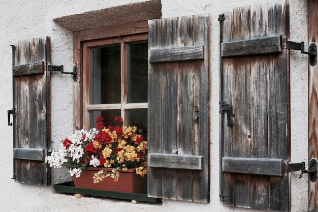 Foto close-up van bloemen tegen het raam van het huis